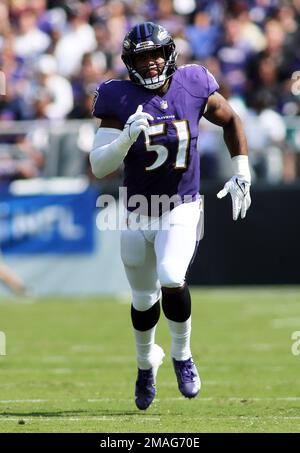 Baltimore Ravens linebacker Josh Ross (51) runs during an NFL preseason  football game against the Washington Commanders, Monday, August 21, 2023 in  Landover. (AP Photo/Daniel Kucin Jr Stock Photo - Alamy