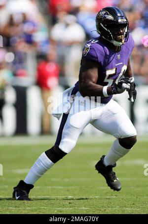 Baltimore Ravens linebacker Justin Houston (50) runs during an NFL