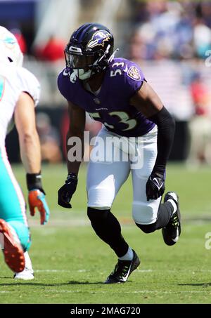 Baltimore Ravens linebacker Del'Shawn Phillips (53) walks off the