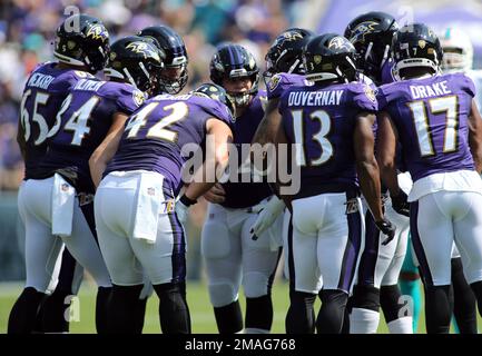 Cincinnati Bengals players huddle during an NFL football game against the  Baltimore Ravens, Sunday, Jan. 8, 2023, in Cincinnati. (AP Photo/Jeff Dean  Stock Photo - Alamy