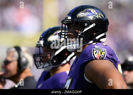 Baltimore Ravens offensive tackle Daniel Faalele (77) during the first half  of an NFL preseason football game against the Arizona Cardinals, Sunday,  Aug. 21, 2022, in Glendale, Ariz. (AP Photo/Rick Scuteri Stock