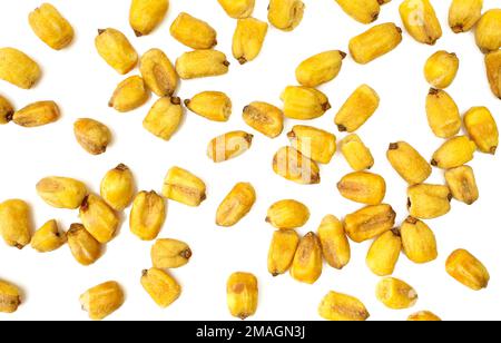 Spilled salty roasted corn seeds isolated on white background. Textured golden color food Stock Photo