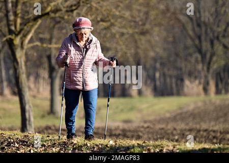 Ohrady, Dunajská Streda, Slovakia - January 7 2023: Elderly woman enjoying Nordic walking in the countryside in winter Stock Photo