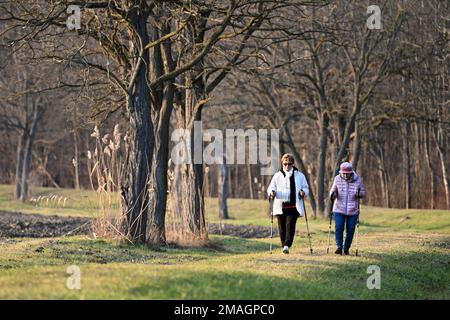 Ohrady, Dunajská Streda, Slovakia - January 7 2023: Two elderly women enjoying Nordic walking in the countryside in winter Stock Photo