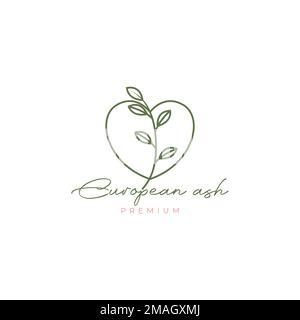 european ash plant leaves love feminine minimal logo design vector icon illustration template Stock Vector