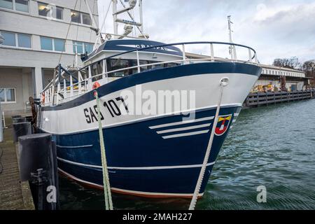 Sassnitz, Germany. 17th Jan, 2023. One of the last deep sea fishing cutter 'SAS107' in the fishing port. The 17.35 meter long cutter 'CRAMPAS' was built in Denmark in 2001. Credit: Jens Büttner/dpa/Alamy Live News Stock Photo