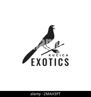 exotic bird magpie robins singer perched branch forest isolated logo design icon illustration template Stock Vector