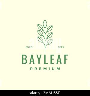 bay leaf aromatic cooking spice minimal colored hipster logo design vector icon illustration template Stock Vector