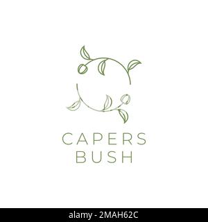 caper bush plant leaves fruit green circle line logo design vector icon illustration template Stock Vector