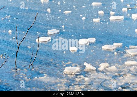 A frozen pond, the ice reflecting the blue sky above and covered with chunks of ice broken off from the edge. Tree branches poke through the surface. Stock Photo