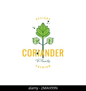 coriander spice cooking food kitchen green vegetable hipster logo design vector icon illustration template Stock Vector