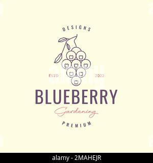 fruit fresh leaves plant blueberry sweet purple lines hipster tarragons plant leaves circle food spice and health benefits logo design vector icon ill Stock Vector