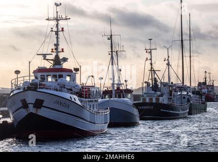 Sassnitz, Germany. 17th Jan, 2023. Excursion ships and fishing boats are moored in the city harbor. Credit: Jens Büttner/dpa/Alamy Live News Stock Photo