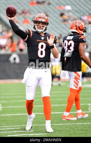 Houston, TX, USA. 27th Dec, 2020. Cincinnati Bengals quarterback Brandon  Allen (8) throws a pass during the 1st quarter of an NFL football game  between the Cincinnati Bengals and the Houston Texans