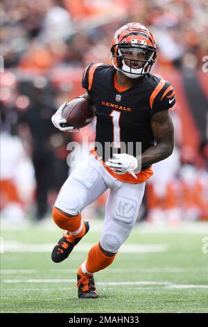 Cincinnati Bengals wide receiver Ja'Marr Chase (1) tries to hold onto a  pass during an NFL Wild-Card Playoff football game against the Las Vegas  Raide Stock Photo - Alamy