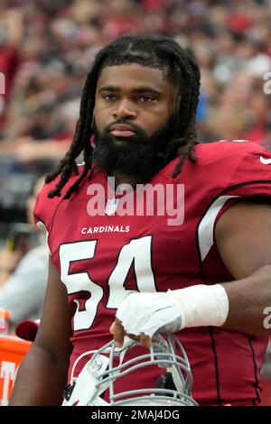 Arizona Cardinals wide receiver Davion Davis (10) celebrates with Arizona  Cardinals guard Lecitus Smith (54) after Davis scored a touchdown against  the Minnesota Vikings during an NFL preseason football game Saturday, Aug.