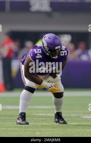 Minnesota Vikings defensive tackle Dalvin Tomlinson (94) in action