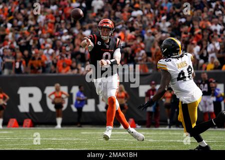 PITTSBURGH, PA - DECEMBER 11: Pittsburgh Steelers linebacker Jamir Jones  (48) smiles during the national football league game between the Baltimore  Ravens and the Pittsburgh Steelers on December 11, 2022 at Acrisure