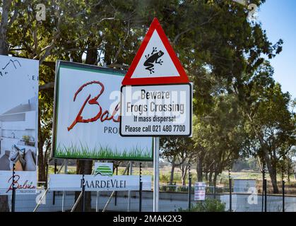 Funny road sign 'Beware Frogs Crossing'. Western Cape, South Africa. Stock Photo