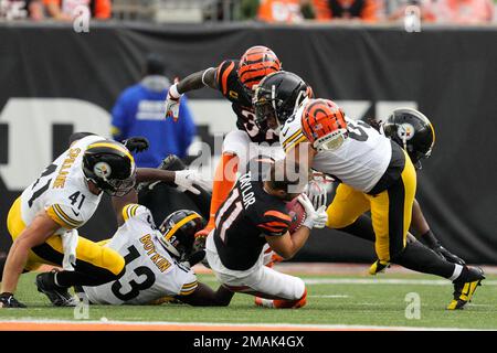 Cincinnati Bengals wide receiver Trent Taylor (11) receives a kick during  an NFL football game against the Pittsburgh Steelers, Sunday, Sep. 11,  2022, in Cincinnati. (AP Photo/Kirk Irwin Stock Photo - Alamy