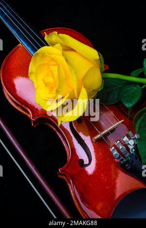 Yellow Rose On Violin Stock Photo