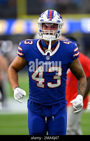 Buffalo Bills linebacker Terrel Bernard (43) celebrates after a stop during  an NFL wild-card football game Sunday, Jan. 15, 2023, in Orchard Park, NY.  (AP Photo/Matt Durisko Stock Photo - Alamy