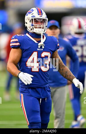 Buffalo Bills linebacker Terrel Bernard (43) defends during an NFL football  game, Monday, Sept. 19, 2022, in Orchard Park, NY. (AP Photo/Matt Durisko  Stock Photo - Alamy