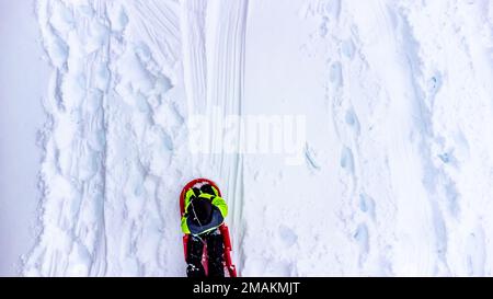 Aerial overhead done photo of two children in a sled going down a snow covered hill.  Stock Photo