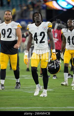 Pittsburgh Steelers cornerback James Pierre (42) warms up before