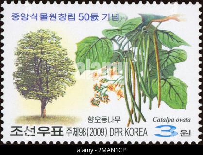 2009 North Korea stamp set. 50th Anniversary of Botanical Garden, Pyongyang - Trees. Yellow catalpa , Chinese catalpa, Catalpa ovata Stock Photo