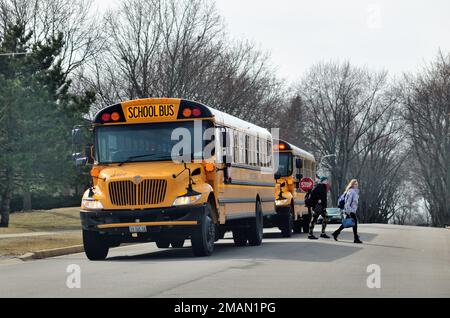 South Elgin, Illinois, USA. School buses stopped on a residential street with the second bus discharging its student passengers. Stock Photo