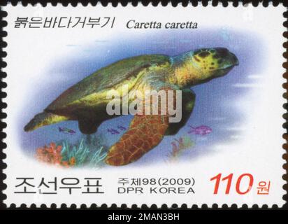 Sea Turtle Stamp Set, Animal Stamps