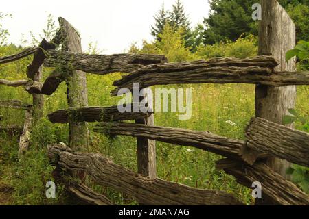Old weathered split rail in Virginia's countryside, USA Stock Photo