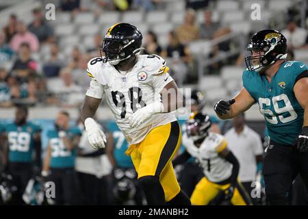 Pittsburgh Steelers defensive end DeMarvin Leal during an NFL football game  against the New York Jets at Acrisure Stadium, Sunday, Oct. 2, 2022 in  Pittsburgh, Penn. (Winslow Townson/AP Images for Panini Stock