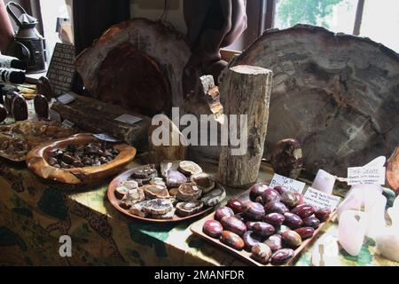 Display of rocks and minerals in a crystal shop in North Carolina, USA Stock Photo