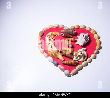 Happy valentine day. beautiful decoration from seashells. Stock Photo