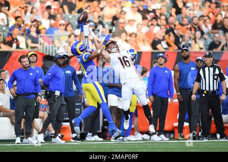 Los Angeles Rams cornerback Cobie Durant celebrates a sack during an NFL  football game against the Atlanta Falcons Sunday, Sept. 18, 2022, in  Inglewood, Calif. (AP Photo/Mark J. Terrill Stock Photo - Alamy