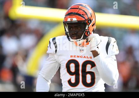 Cincinnati Bengals defensive end Cameron Sample (96) reacts during an NFL  football game against the Pittsburgh Steelers, Sunday, Nov. 28, 2021, in  Cincinnati. (AP Photo/Emilee Chinn Stock Photo - Alamy