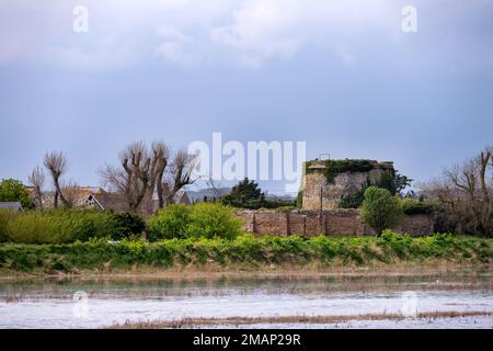 Martello Tower in Rye Harbour on a spring afternoon, East Sussex, England Stock Photo