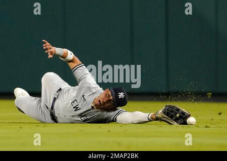 New York Yankees' Oswaldo Cabrera (95) reacts during the second inning of  the team's baseball game against the Toronto Blue Jays on Friday, Aug. 19,  2022, in New York. (AP Photo/Adam Hunger