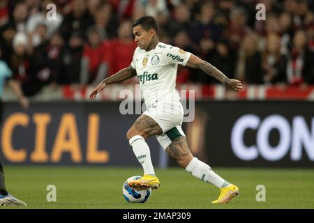 Vitor Roque of Brazil's Athletico Paranaense heads the ball during a Copa  Libertadores Group G soccer match against Peru's Alianza Lima at Alejandro  Villanueva stadium, in Lima, Peru, Tuesday, April 4, 2023. (