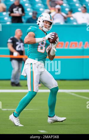 Miami Dolphins tight end Hunter Long (84) covers a kick during an NFL  football game against the Tampa Bay Buccaneers, Saturday, Aug. 13, 2022 in  Tampa, Fla. The Dolphins defeat the Buccaneers