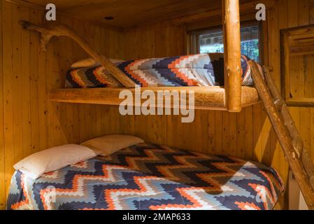 Rustic bunk beds made of logs in guest bedroom in basement  inside Scandinavian style log home. Stock Photo