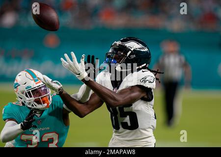 Miami Dolphins cornerback Elijah Hamilton (33) interferes with a