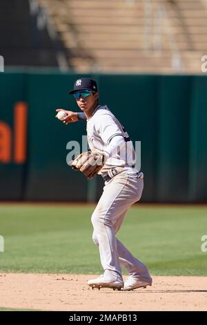 New York Yankees' Oswaldo Cabrera (95) reacts during the second inning of  the team's baseball game against the Toronto Blue Jays on Friday, Aug. 19,  2022, in New York. (AP Photo/Adam Hunger