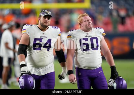 Minnesota Vikings offensive tackle Blake Brandel (64) blocks during the  second half of an NFL football game against the Arizona Cardinals, Sunday,  Oct. 30, 2022, in Minneapolis. (AP Photo/Abbie Parr Stock Photo - Alamy