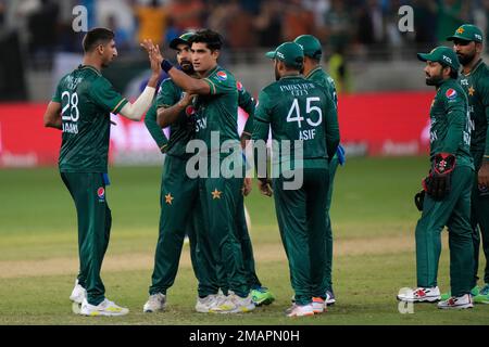 United Arab Emirates cricketers celebrate the dismissal of India's