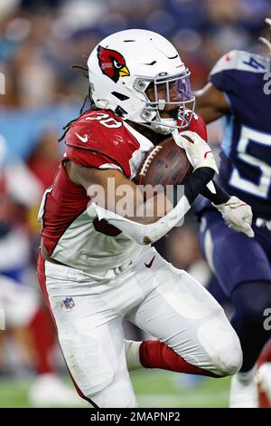 Meet the prospects: Keaontay Ingram has the goods to be a contributor at  running back for the Arizona Cardinals - Revenge of the Birds