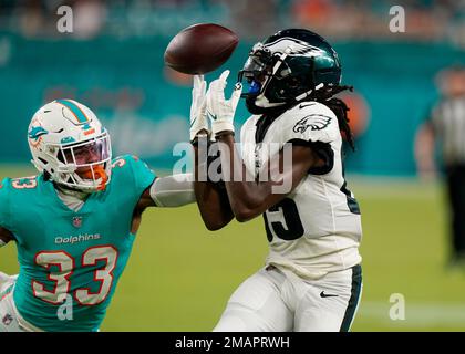 Miami Dolphins cornerback Elijah Hamilton (33) interferes with a