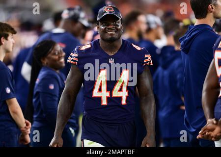 Chicago Bears linebacker Matt Adams (44) runs after the ball during an NFL  preseason football game against the Cleveland Browns, Saturday Aug. 27,  2022, in Cleveland. (AP Photo/Kirk Irwin Stock Photo - Alamy